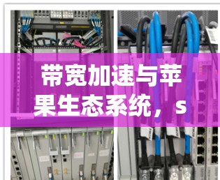 带宽加速与苹果生态系统，sub网络加速器的未来解决方案