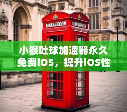 小猴吐球加速器永久免费iOS，提升iOS性能的便捷工具