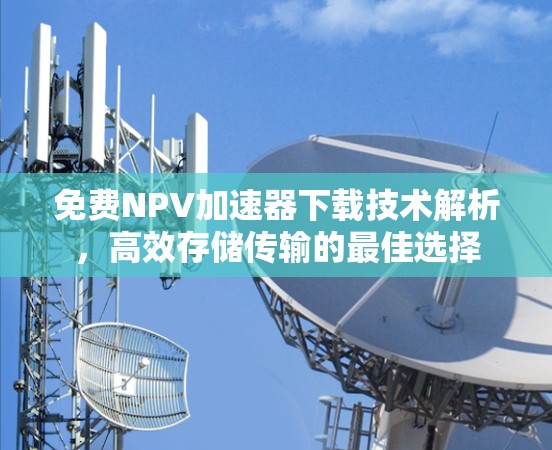 免费NPV加速器下载技术解析，高效存储传输的最佳选择