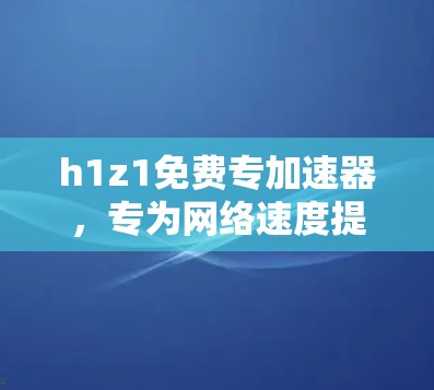 h1z1免费专加速器，专为网络速度提升而设计的专业网络加速工具