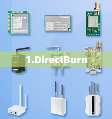 1.DirectBurn