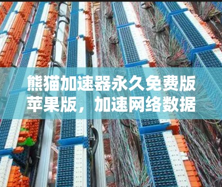 熊猫加速器永久免费版苹果版，加速网络数据的高效解决方案