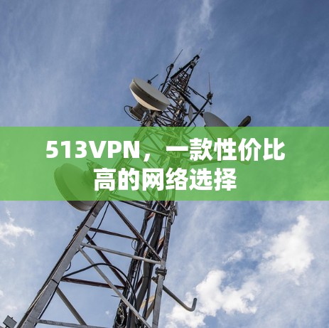 513VPN，一款性价比高的网络选择