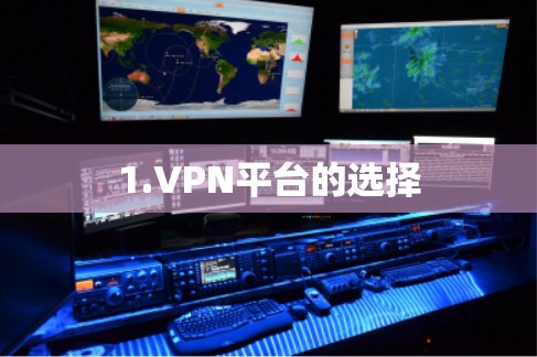 1.VPN平台的选择