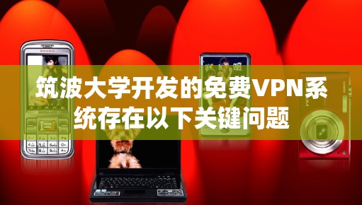 筑波大学开发的免费VPN系统存在以下关键问题