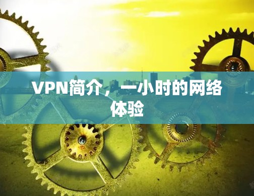 VPN简介，一小时的网络体验