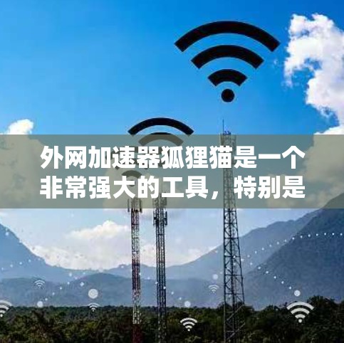 外网加速器狐狸猫是一个非常强大的工具，特别是在提升网络速度和访问外部网站方面表现突出。以下是一些关于狐狸猫的详细介绍和一些实用的小技巧，帮助您更好地使用这个工具