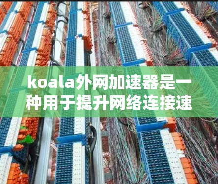 koala外网加速器是一种用于提升网络连接速度和稳定性的专业工具。它通过分析网络流量，自动优化带宽分配，确保网络连接更稳定和更快。以下是对koala外网加速器的详细介绍