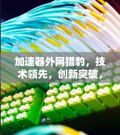 加速器外网猎豹，技术领先，创新突破，无限可能
