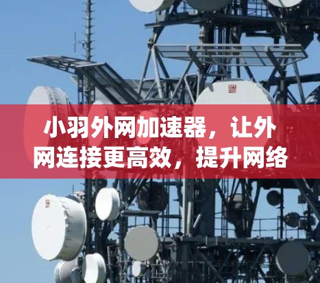 小羽外网加速器，让外网连接更高效，提升网络性能，轻松连接 anywhere