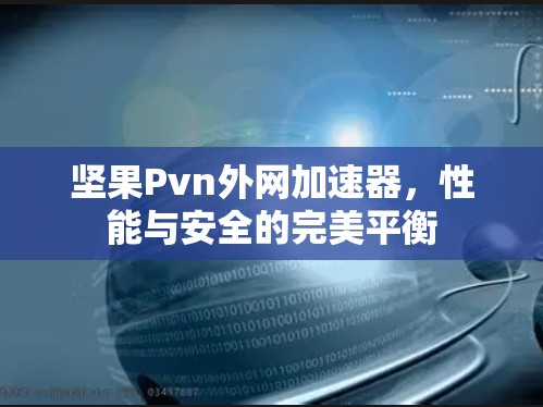 坚果Pvn外网加速器，性能与安全的完美平衡