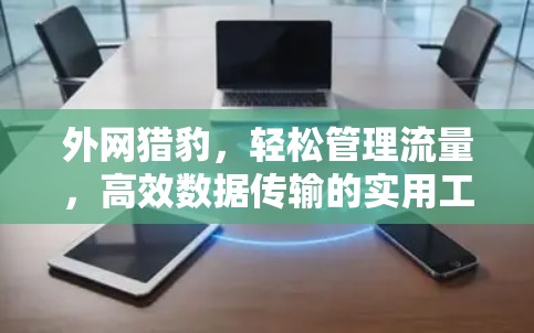 外网猎豹，轻松管理流量，高效数据传输的实用工具