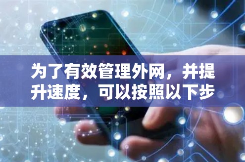 为了有效管理外网，并提升速度，可以按照以下步骤进行