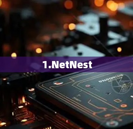 1.NetNest