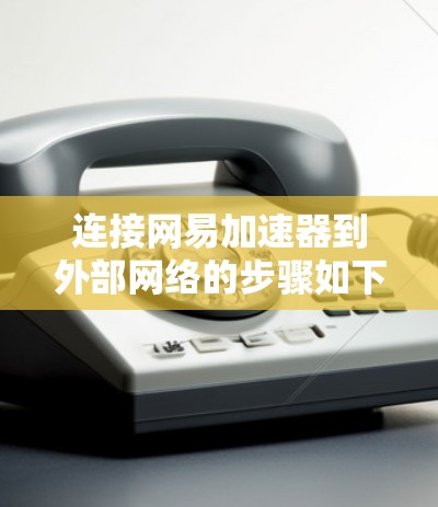 连接网易加速器到外部网络的步骤如下