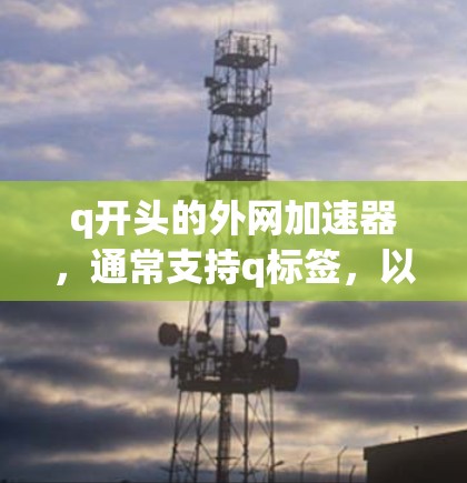 q开头的外网加速器，通常支持q标签，以优化网站加载速度。以下是一些常见且支持q标签的q开头外网加速器