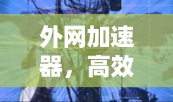 外网加速器，高效访问网络的全能选择，值得你的 consideration！