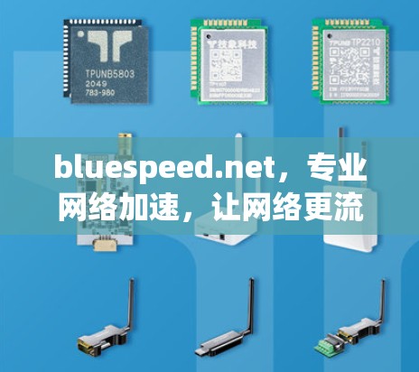 bluespeed.net,专业网络加速,让网络更流畅 bluespeed.net,专业网络加速,让网络更流畅