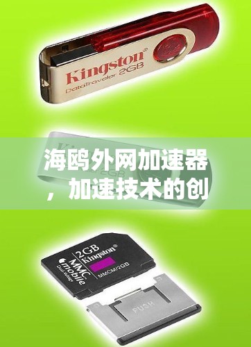 海鸥外网加速器,加速技术的创新与实践 海鸥外网加速器,加速技术的创新与实践