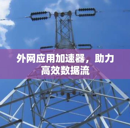 外网应用加速器，助力高效数据流