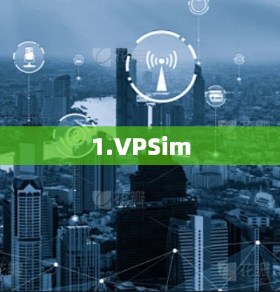 1.VPSim 1.VPSim