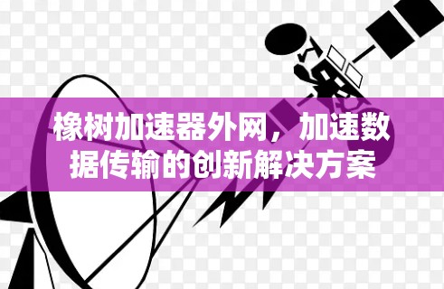 橡树加速器外网,加速数据传输的创新解决方案 橡树加速器外网,加速数据传输的创新解决方案