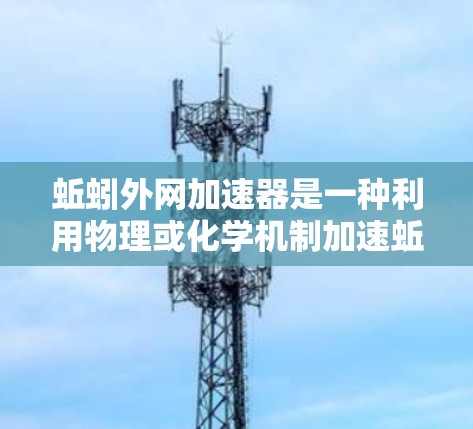 蚯蚓外网加速器是一种利用物理或化学机制加速蚯蚓外网功能的装置，常用于工业或农业中。它通过某种机制促进蚯蚓捕食，从而提高分解过程的效率。以下是对其的详细介绍
