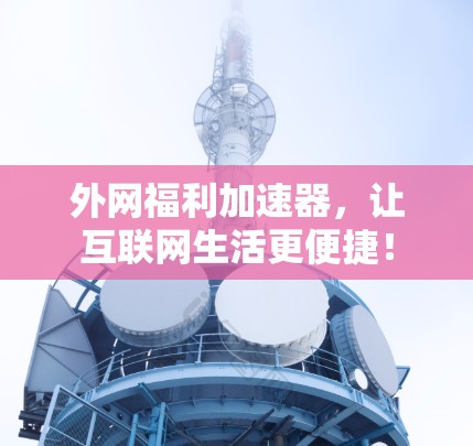 外网福利加速器，让互联网生活更便捷！