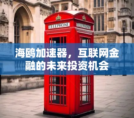 海鸥加速器,互联网金融的未来投资机会 海鸥加速器,互联网金融的未来投资机会