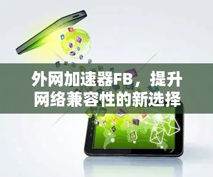 外网加速器FB,提升网络兼容性的新选择 外网加速器FB,提升网络兼容性的新选择