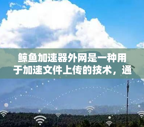鲸鱼加速器外网是一种用于加速文件上传的技术，通过提升上传速度和网络连接的稳定性，帮助用户更快完成文件上传任务。它可能适用于个人用户和企业用户，用户可以根据需求选择合适的加速方案