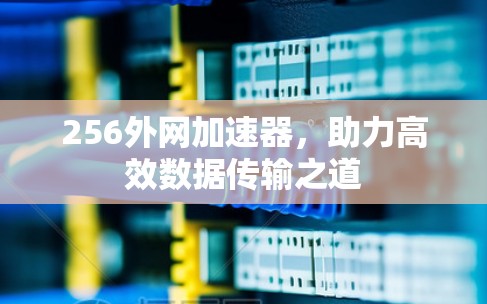 256外网加速器，助力高效数据传输之道
