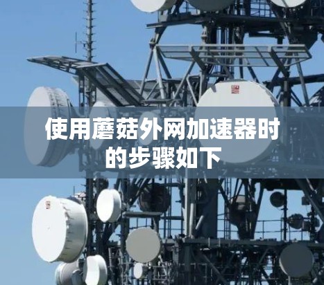 使用蘑菇外网加速器时的步骤如下