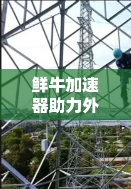 鲜牛加速器助力外网连接，轻松畅快上网