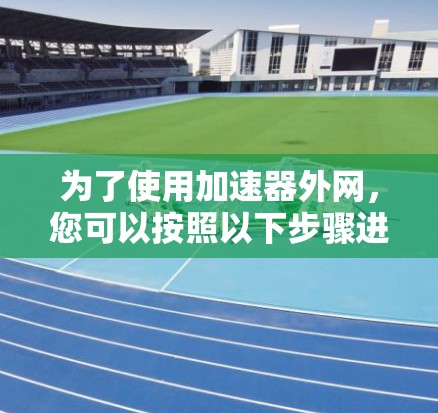 为了使用加速器外网，您可以按照以下步骤进行