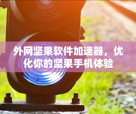 外网坚果软件加速器，优化你的坚果手机体验