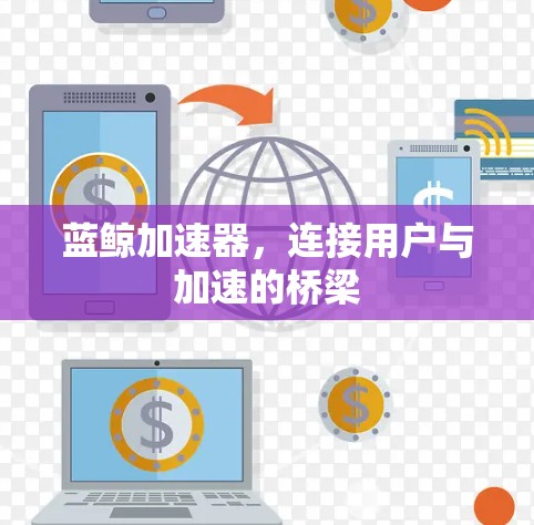 蓝鲸加速器，连接用户与加速的桥梁
