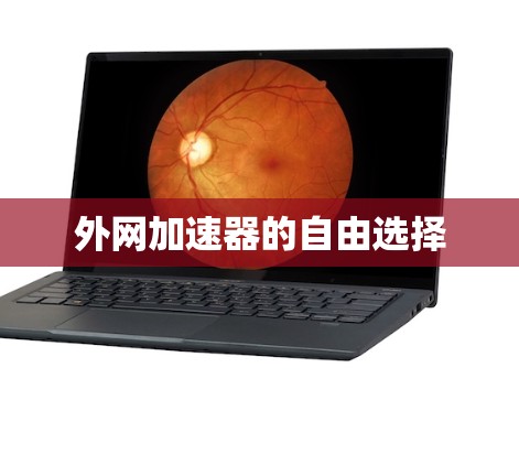 外网加速器的自由选择 外网加速器的自由选择