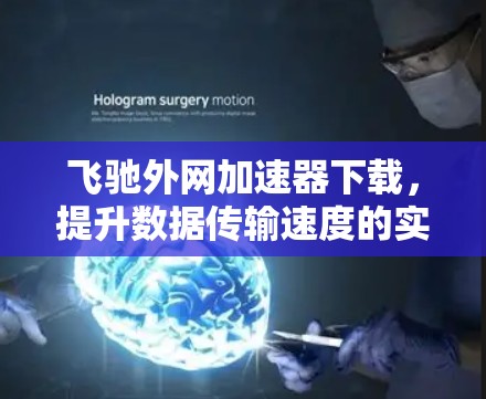 飞驰外网加速器下载，提升数据传输速度的实用工具