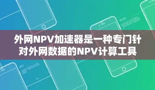 外网NPV加速器是一种专门针对外网数据的NPV计算工具，旨在帮助用户更快、更高效地进行NPV分析。以下是详细的步骤和建议，帮助您下载和使用外网NPV加速器