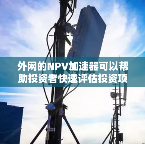 外网的NPV加速器可以帮助投资者快速评估投资项目的经济可行性，尤其适用于涉及时间价值的项目。对于极光这样的天文学现象，了解其对投资决策的影响是关键。以下是详细步骤
