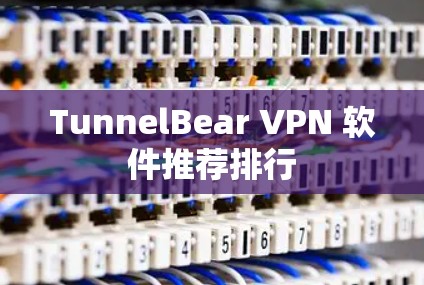 TunnelBear VPN 软件推荐排行 TunnelBear VPN 软件推荐排行
