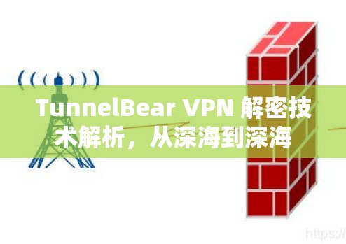 TunnelBear VPN 解密技术解析,从深海到深海 TunnelBear VPN 解密技术解析,从深海到深海