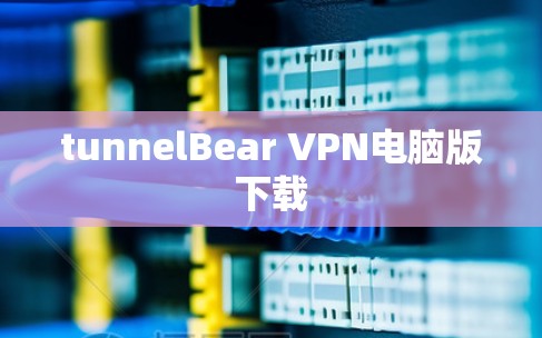 tunnelBear VPN电脑版下载
