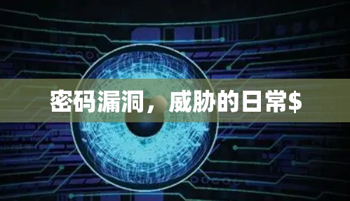 密码漏洞，威胁的日常$