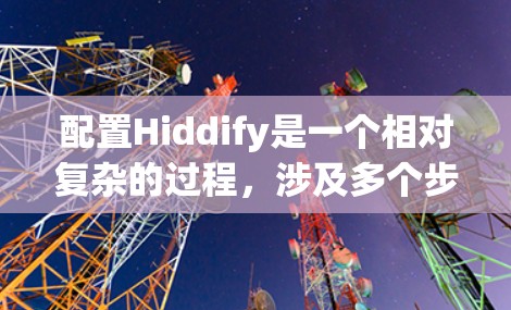 配置Hiddify是一个相对复杂的过程，涉及多个步骤和参数。以下是一个详细的步骤指南，帮助你顺利配置Hiddify