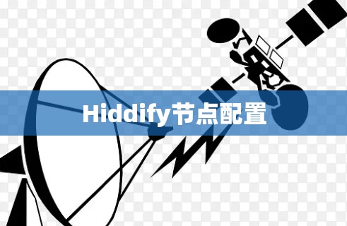 Hiddify节点配置