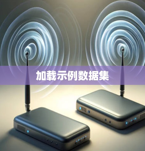 加载示例数据集