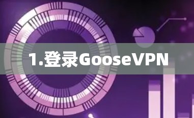1.登录GooseVPN