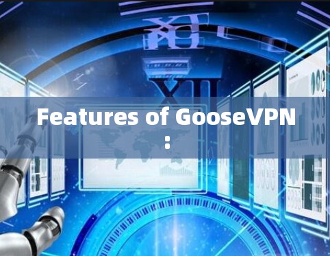 Features of GooseVPN: